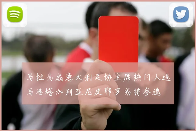 马拉戈成意大利足协主席热门人选马洛塔加利亚尼皮耶罗或将参选